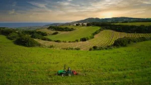 aup3vdlfh8htkr8gjnmr