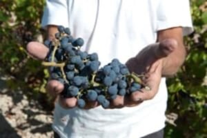 jmm1y9yqdavwihzupy7i (1)